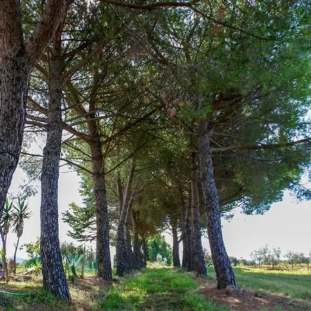Country house Poggio Picchio Bibbona