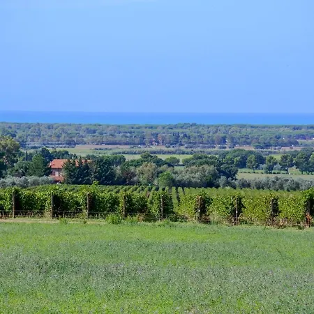 Poggio Picchio Country house Bibbona