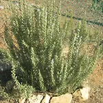 カントリーハウス Poggio Picchio