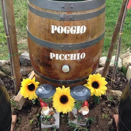 Poggio Picchio Landsted